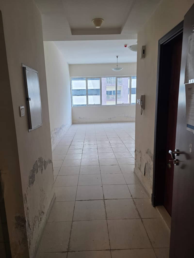 Zenith Tower Gallery 2